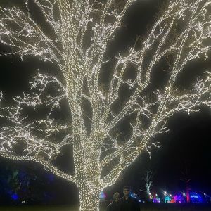 Meet your Posher, Penny